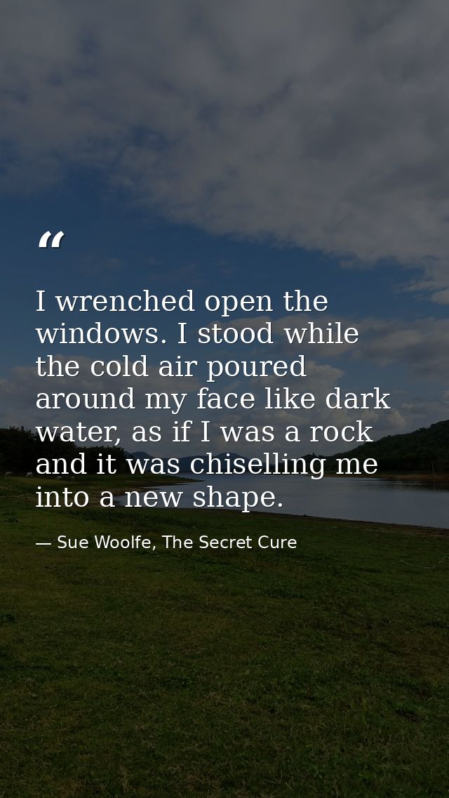 I wrenched open the windows. I stood while the cold air poured around my face like dark water, as if I was a rock and it — Sue Woolfe, The Secret Cure