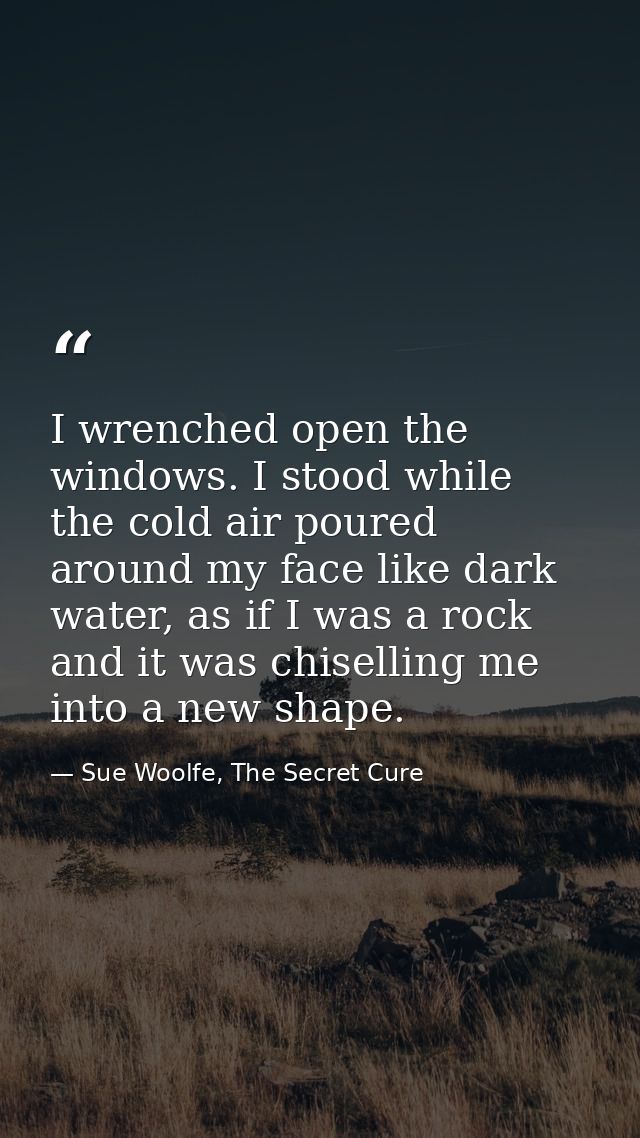 I wrenched open the windows. I stood while the cold air poured around my face like dark water, as if I was a rock and it — Sue Woolfe, The Secret Cure