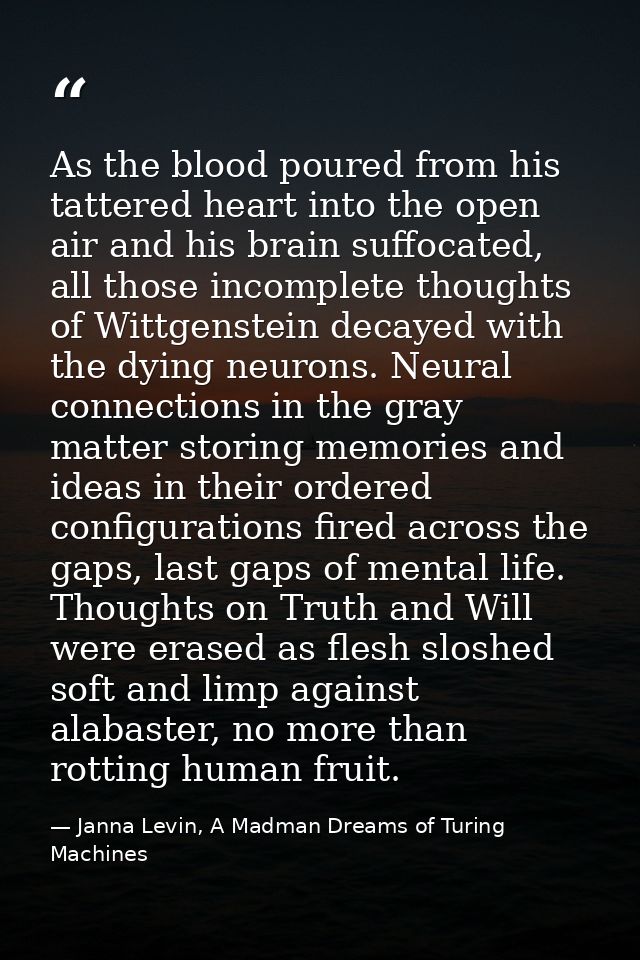 As the blood poured from his tattered heart into the open air and his brain suffocated, all those incomplete thoughts of — Janna Levin, A Madman Dreams of Turing Machines