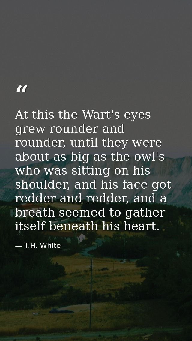 At this the Wart's eyes grew rounder and rounder, until they were about as big as the owl's who was sitting on his shoul — T.H. White