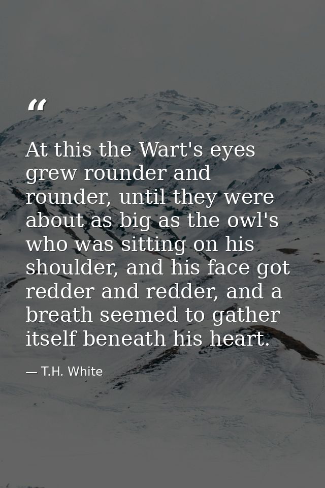 At this the Wart's eyes grew rounder and rounder, until they were about as big as the owl's who was sitting on his shoul — T.H. White
