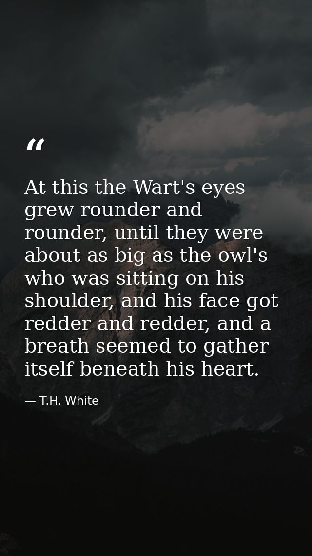 At this the Wart's eyes grew rounder and rounder, until they were about as big as the owl's who was sitting on his shoul — T.H. White