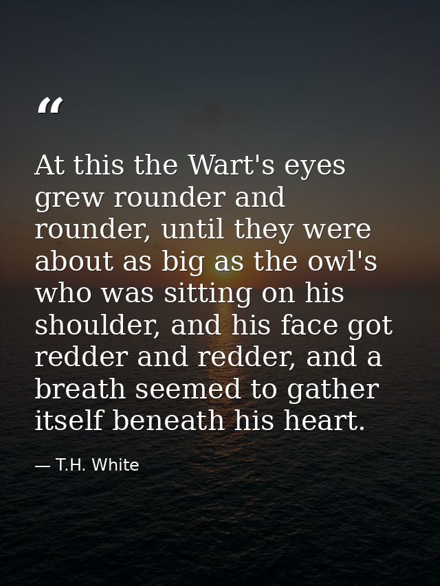 At this the Wart's eyes grew rounder and rounder, until they were about as big as the owl's who was sitting on his shoul — T.H. White