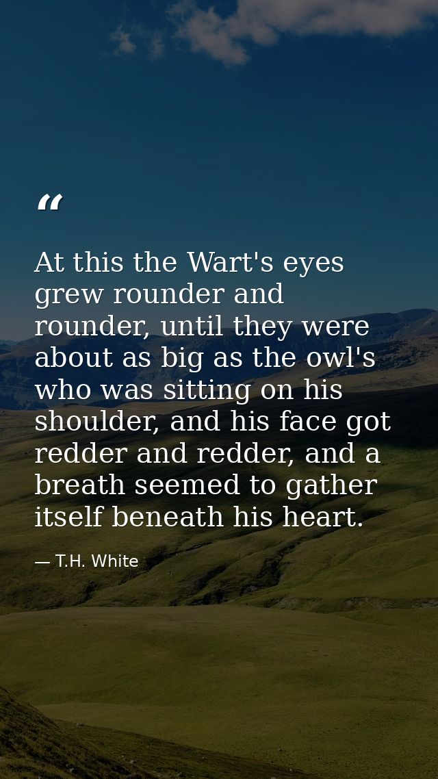 At this the Wart's eyes grew rounder and rounder, until they were about as big as the owl's who was sitting on his shoul — T.H. White