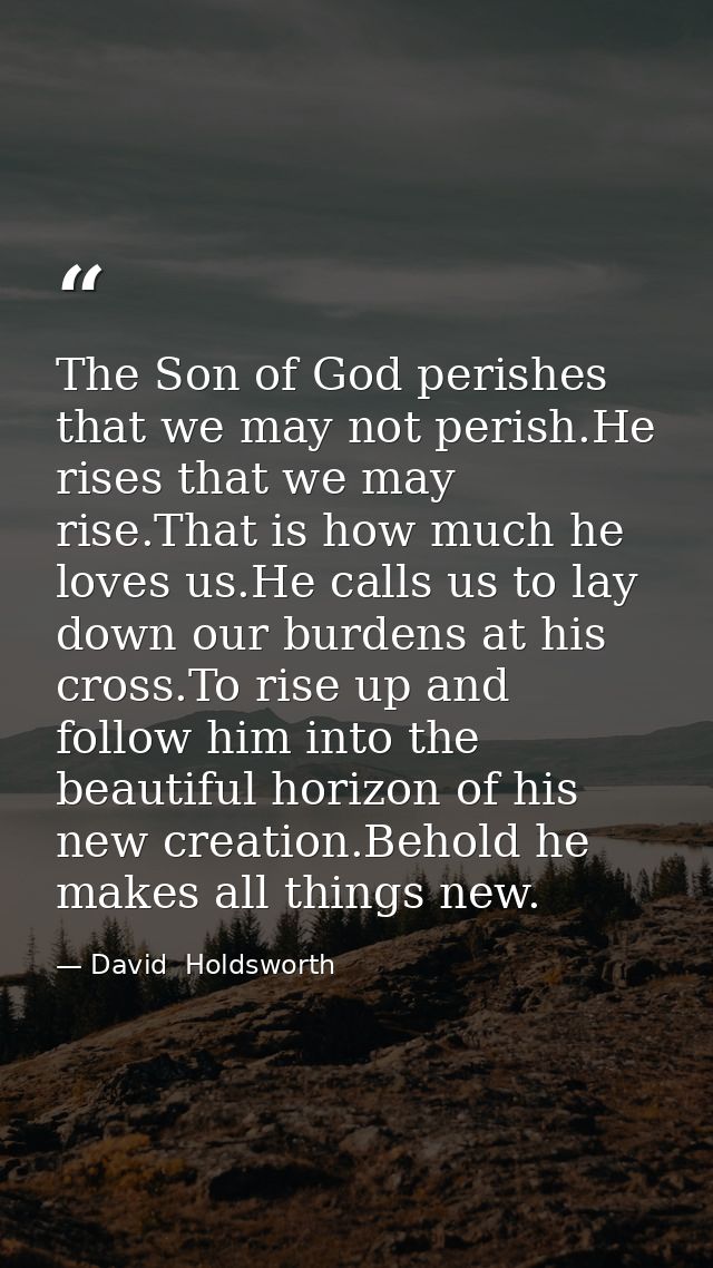 The Son of God perishes that we may not perish.He rises that we may rise.That is how much he loves us.He calls us to lay — David  Holdsworth