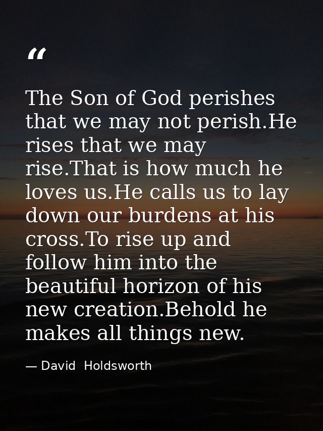 The Son of God perishes that we may not perish.He rises that we may rise.That is how much he loves us.He calls us to lay — David  Holdsworth