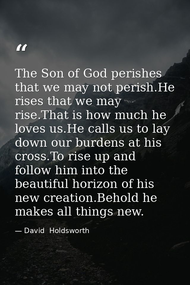 The Son of God perishes that we may not perish.He rises that we may rise.That is how much he loves us.He calls us to lay — David  Holdsworth