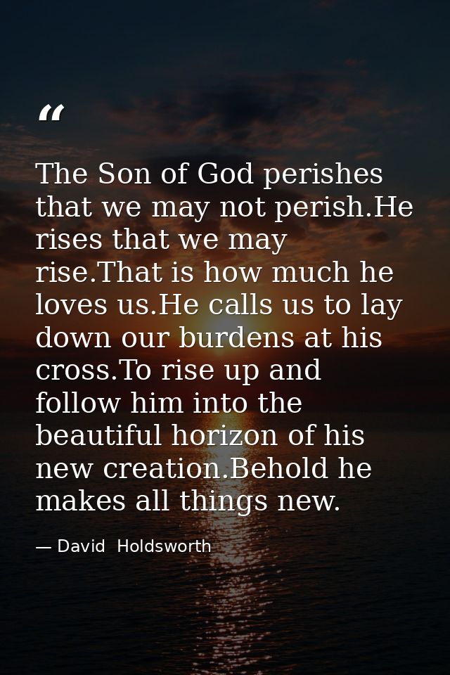 The Son of God perishes that we may not perish.He rises that we may rise.That is how much he loves us.He calls us to lay — David  Holdsworth