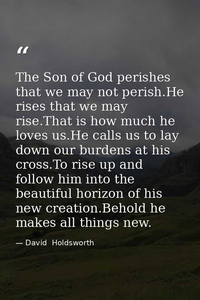 The Son of God perishes that we may not perish.He rises that we may rise.That is how much he loves us.He calls us to lay — David  Holdsworth