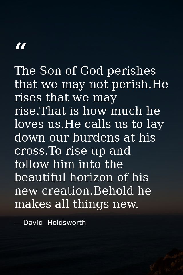 The Son of God perishes that we may not perish.He rises that we may rise.That is how much he loves us.He calls us to lay — David  Holdsworth