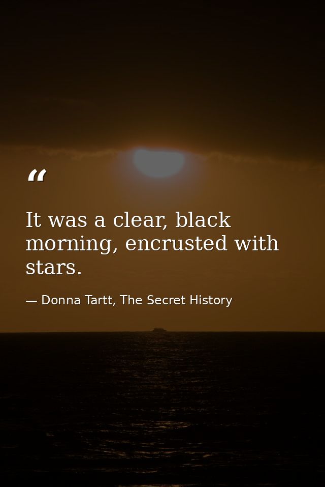 It was a clear, black morning, encrusted with stars. — Donna Tartt, The Secret History
