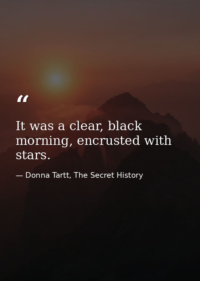 It was a clear, black morning, encrusted with stars. — Donna Tartt, The Secret History