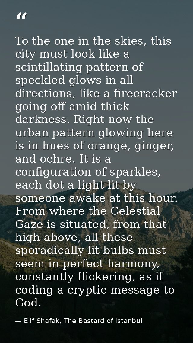 To the one in the skies, this city must look like a scintillating pattern of speckled glows in all directions, like a fi — Elif Shafak, The Bastard of Istanbul