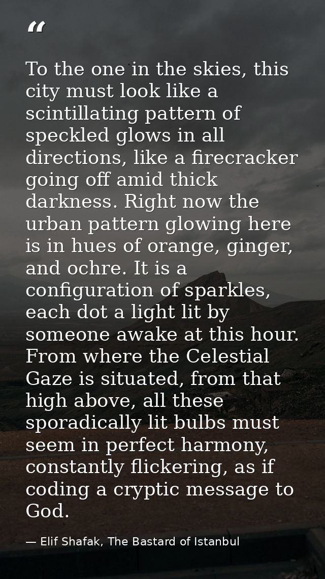 To the one in the skies, this city must look like a scintillating pattern of speckled glows in all directions, like a fi — Elif Shafak, The Bastard of Istanbul