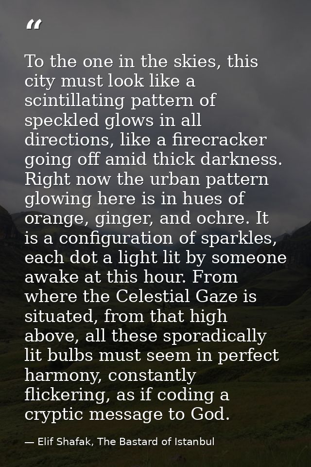 To the one in the skies, this city must look like a scintillating pattern of speckled glows in all directions, like a fi — Elif Shafak, The Bastard of Istanbul