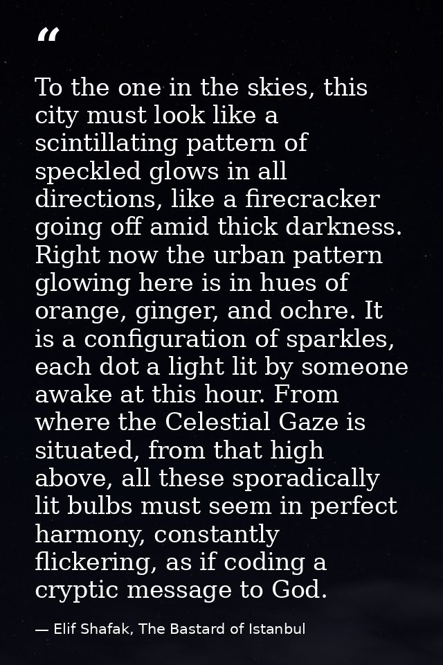 To the one in the skies, this city must look like a scintillating pattern of speckled glows in all directions, like a fi — Elif Shafak, The Bastard of Istanbul