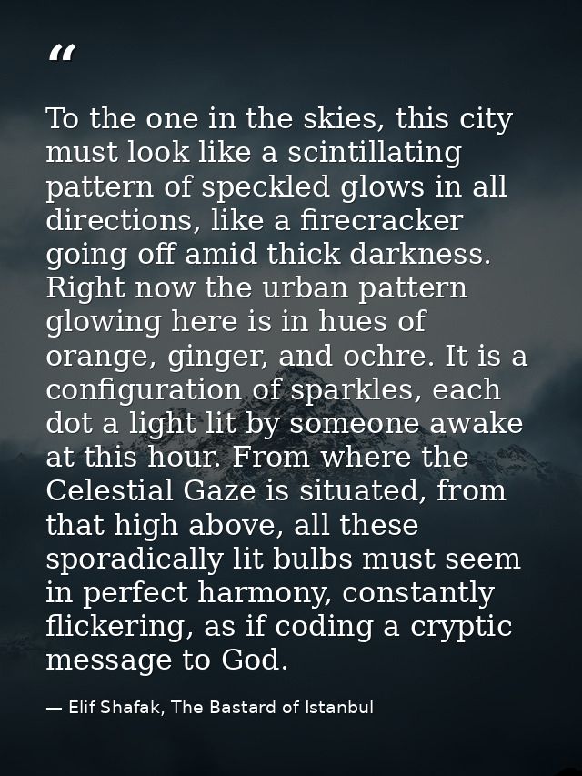 To the one in the skies, this city must look like a scintillating pattern of speckled glows in all directions, like a fi — Elif Shafak, The Bastard of Istanbul