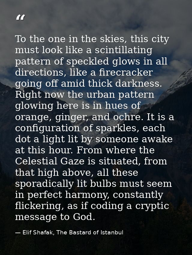 To the one in the skies, this city must look like a scintillating pattern of speckled glows in all directions, like a fi — Elif Shafak, The Bastard of Istanbul