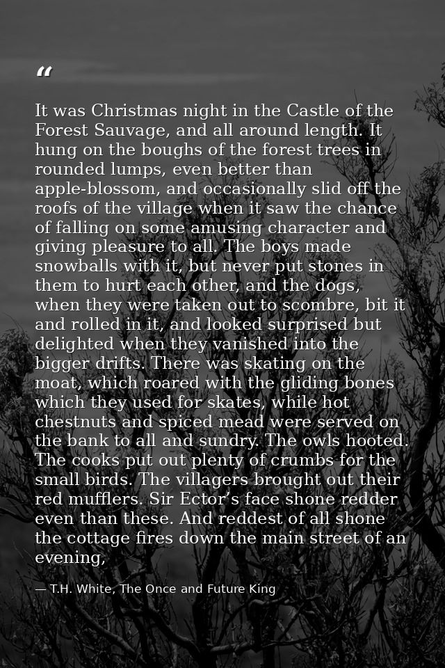 It was Christmas night in the Castle of the Forest Sauvage, and all around length. It hung on the boughs of the forest t — T.H. White, The Once and Future King
