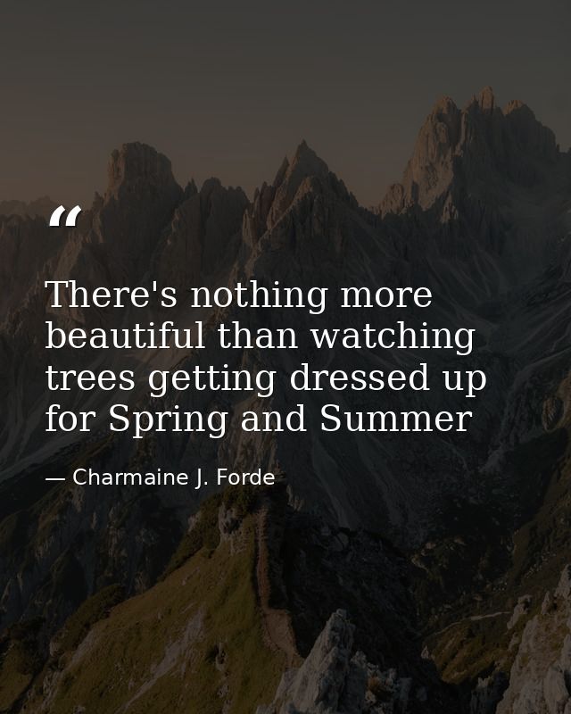 There's nothing more beautiful than watching trees getting dressed up for Spring and Summer — Charmaine J. Forde