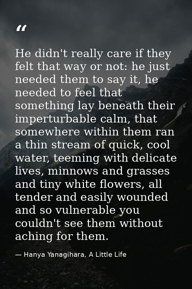 He didn't really care if they felt that way or not: he just needed them to say it, he needed to feel that something lay  — Hanya Yanagihara, A Little Life