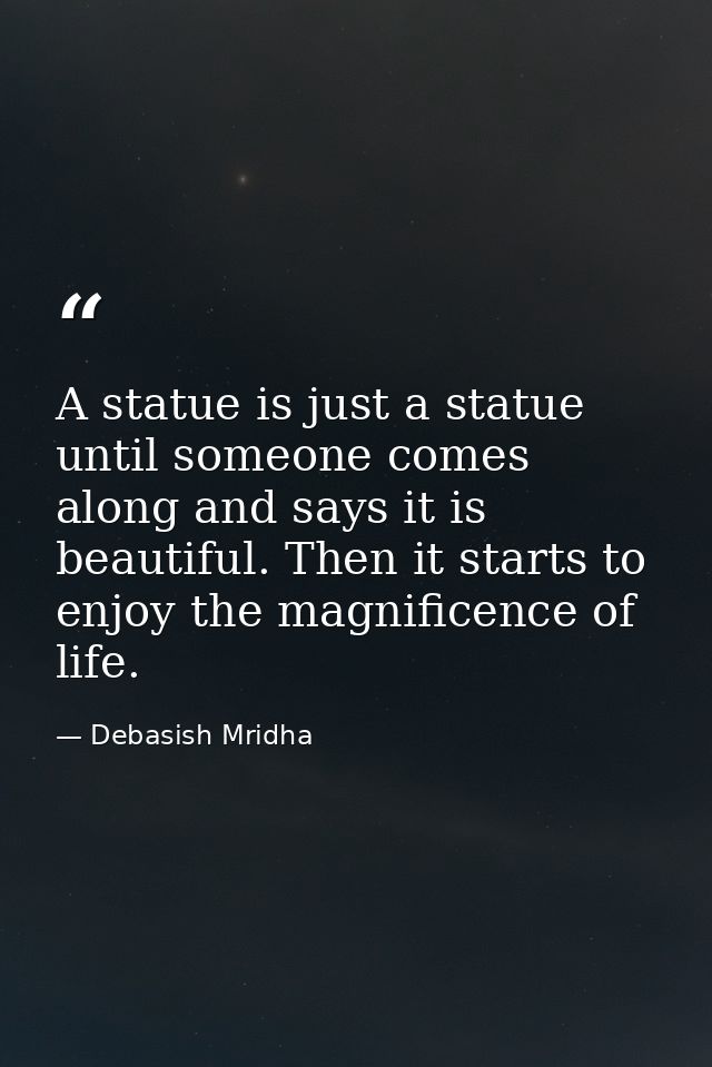 A statue is just a statue until someone comes along and says it is beautiful. Then it starts to enjoy the magnificence o — Debasish Mridha