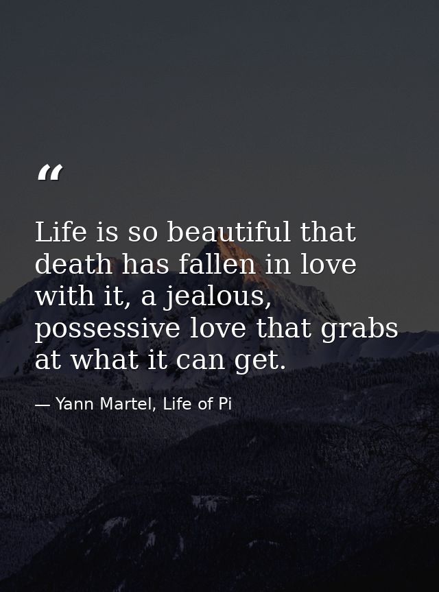 Life is so beautiful that death has fallen in love with it, a jealous, possessive love that grabs at what it can get. — Yann Martel, Life of Pi
