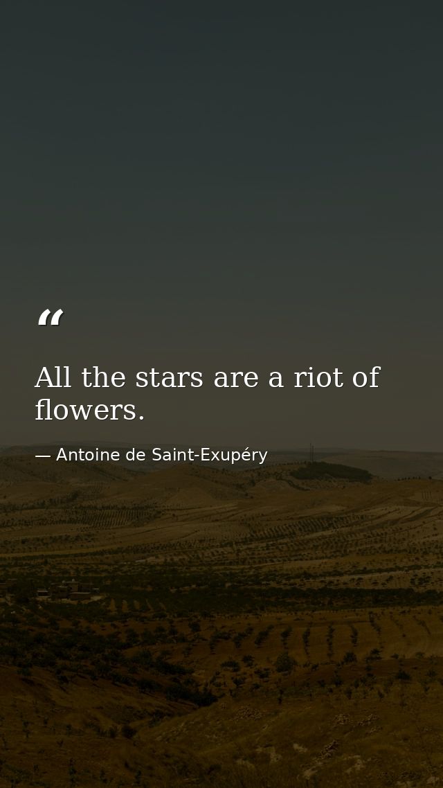 All the stars are a riot of flowers. — Antoine de Saint-Exupéry