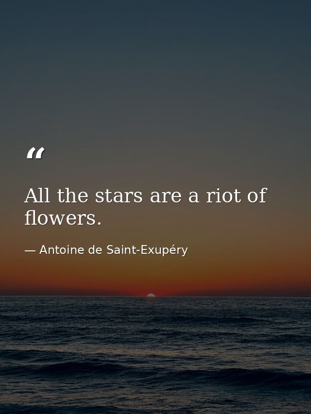 All the stars are a riot of flowers. — Antoine de Saint-Exupéry