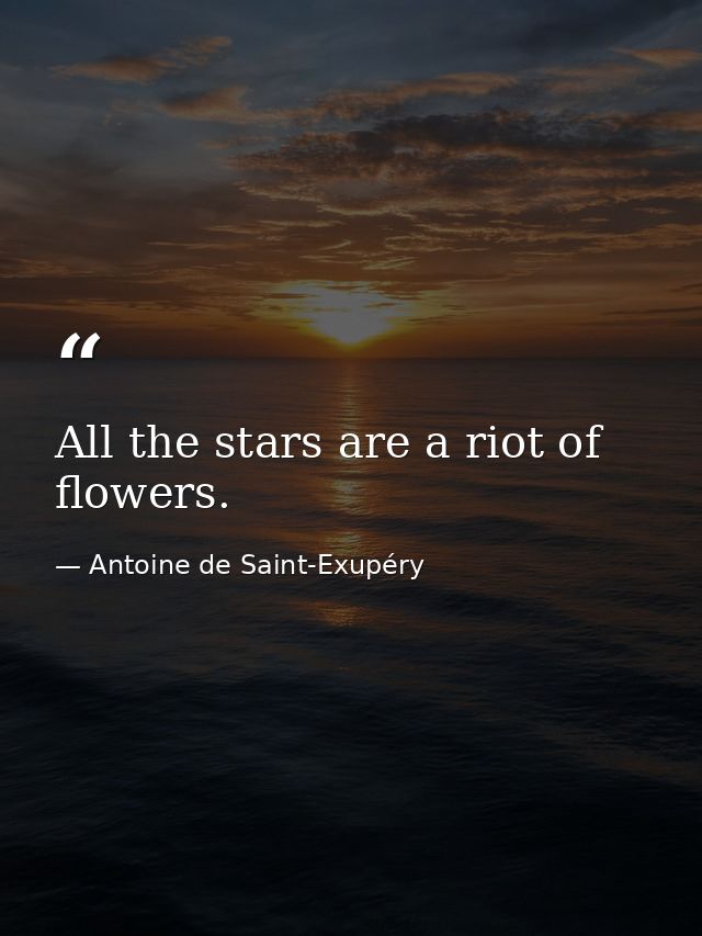 All the stars are a riot of flowers. — Antoine de Saint-Exupéry