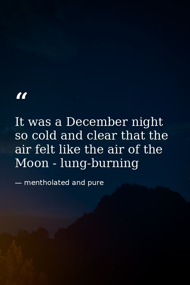 It was a December night so cold and clear that the air felt like the air of the Moon - lung-burning — mentholated and pure