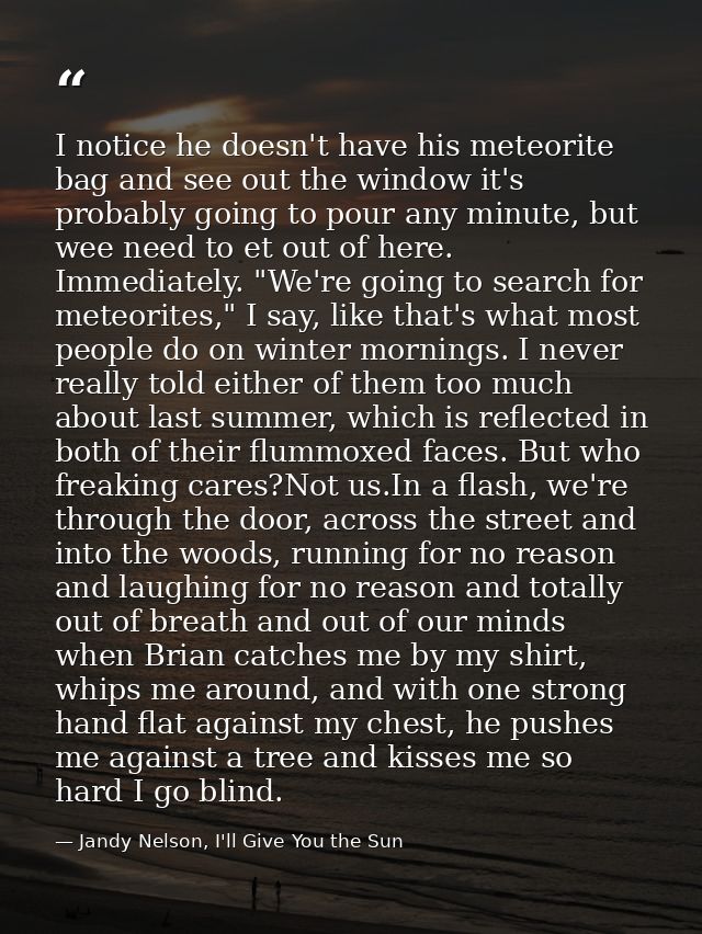 I notice he doesn't have his meteorite bag and see out the window it's probably going to pour any minute, but wee need t — Jandy Nelson, I'll Give You the Sun