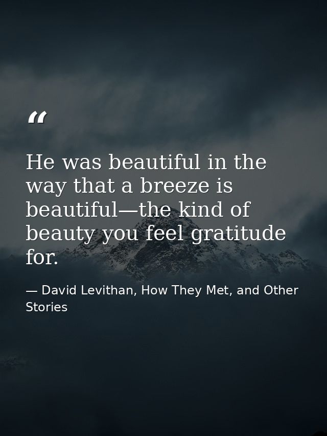 He was beautiful in the way that a breeze is beautiful—the kind of beauty you feel gratitude for. — David Levithan, How They Met, and Other Stories