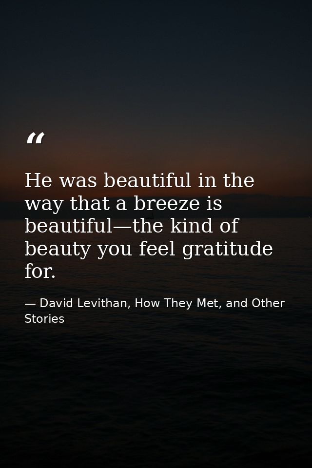He was beautiful in the way that a breeze is beautiful—the kind of beauty you feel gratitude for. — David Levithan, How They Met, and Other Stories