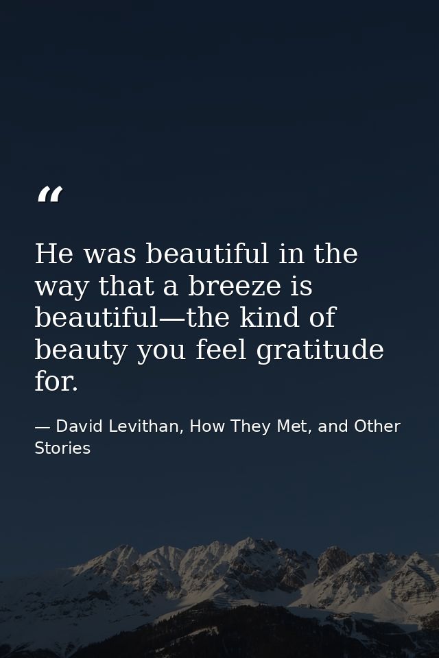 He was beautiful in the way that a breeze is beautiful—the kind of beauty you feel gratitude for. — David Levithan, How They Met, and Other Stories