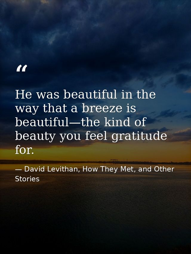 He was beautiful in the way that a breeze is beautiful—the kind of beauty you feel gratitude for. — David Levithan, How They Met, and Other Stories