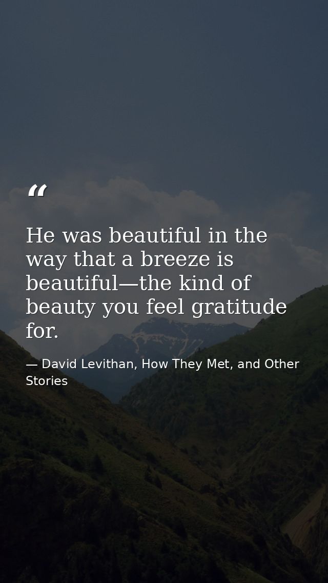 He was beautiful in the way that a breeze is beautiful—the kind of beauty you feel gratitude for. — David Levithan, How They Met, and Other Stories