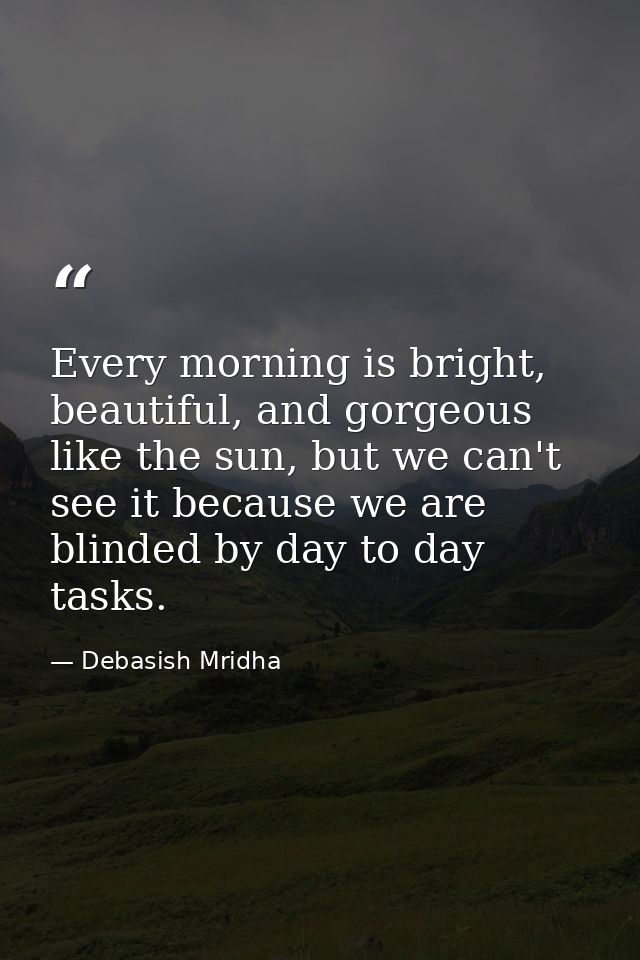 Every morning is bright, beautiful, and gorgeous like the sun, but we can't see it because we are blinded by day to day  — Debasish Mridha