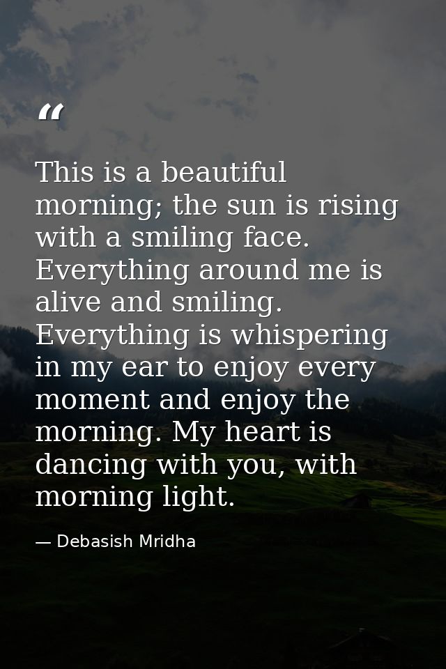 This is a beautiful morning; the sun is rising with a smiling face. Everything around me is alive and smiling. Everythin — Debasish Mridha