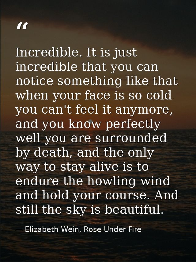 Incredible. It is just incredible that you can notice something like that when your face is so cold you can't feel it an — Elizabeth Wein, Rose Under Fire
