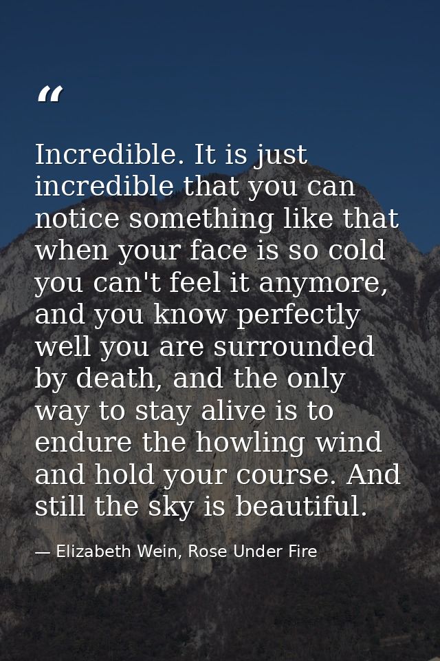 Incredible. It is just incredible that you can notice something like that when your face is so cold you can't feel it an — Elizabeth Wein, Rose Under Fire
