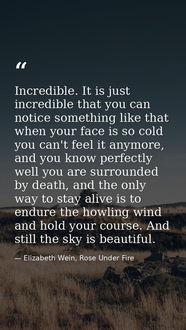 Incredible. It is just incredible that you can notice something like that when your face is so cold you can't feel it an — Elizabeth Wein, Rose Under Fire