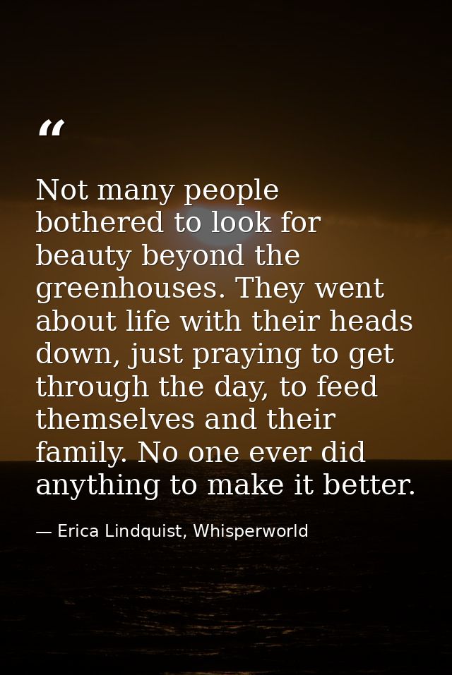 Not many people bothered to look for beauty beyond the greenhouses. They went about life with their heads down, just pra — Erica Lindquist, Whisperworld