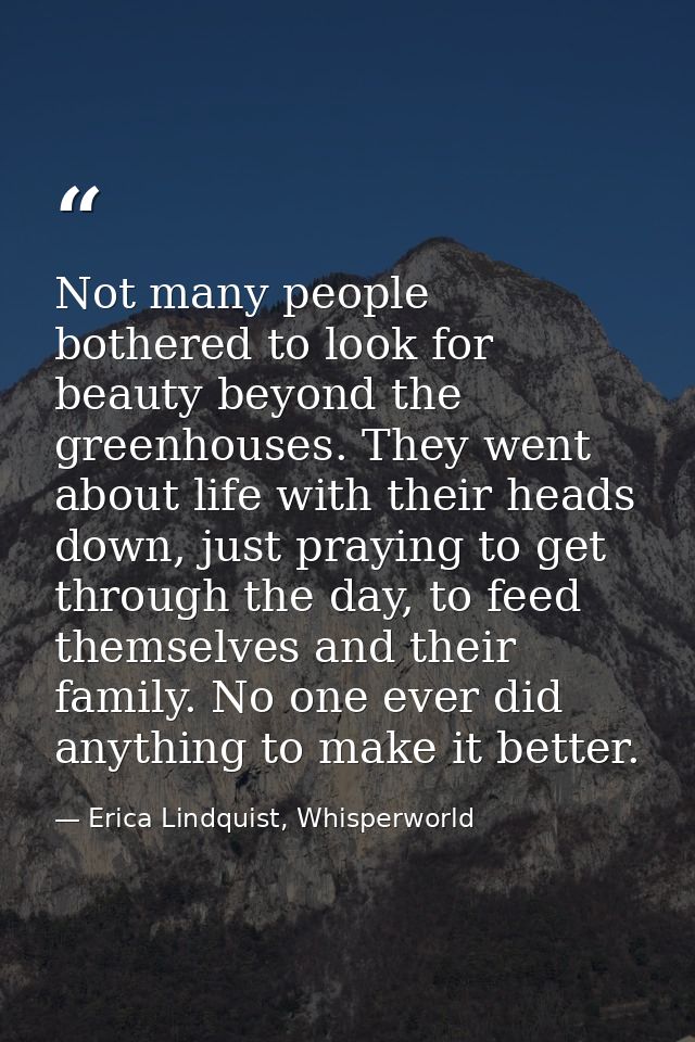 Not many people bothered to look for beauty beyond the greenhouses. They went about life with their heads down, just pra — Erica Lindquist, Whisperworld