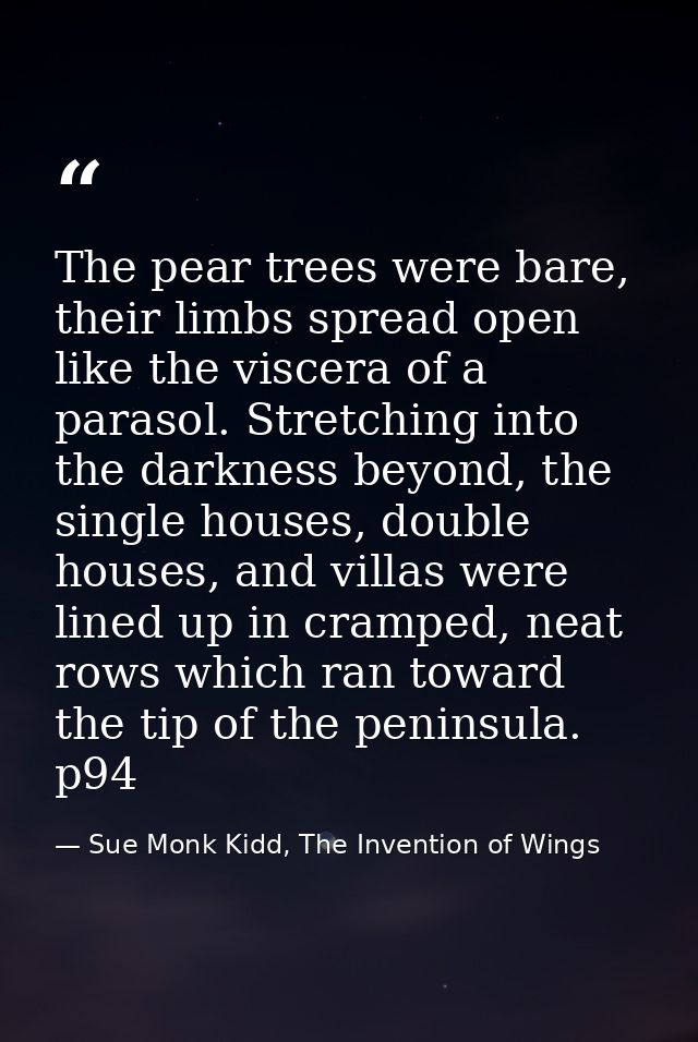 The pear trees were bare, their limbs spread open like the viscera of a parasol. Stretching into the darkness beyond, th — Sue Monk Kidd, The Invention of Wings