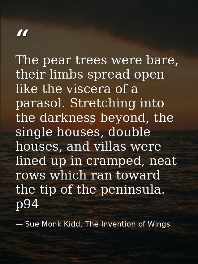 The pear trees were bare, their limbs spread open like the viscera of a parasol. Stretching into the darkness beyond, th — Sue Monk Kidd, The Invention of Wings