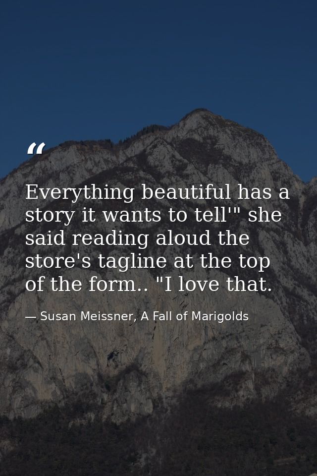 Everything beautiful has a story it wants to tell'" she said reading aloud the store's tagline at the top of the form..  — Susan Meissner, A Fall of Marigolds