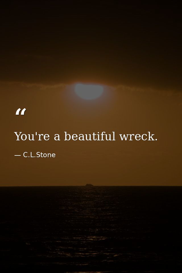 You're a beautiful wreck. — C.L.Stone