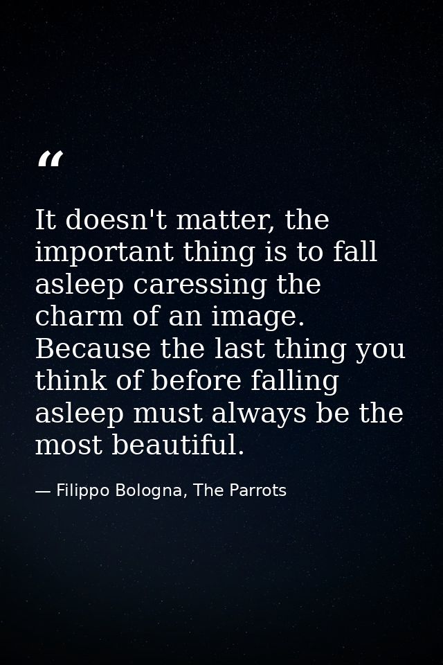 It doesn't matter, the important thing is to fall asleep caressing the charm of an image. Because the last thing you thi — Filippo Bologna, The Parrots