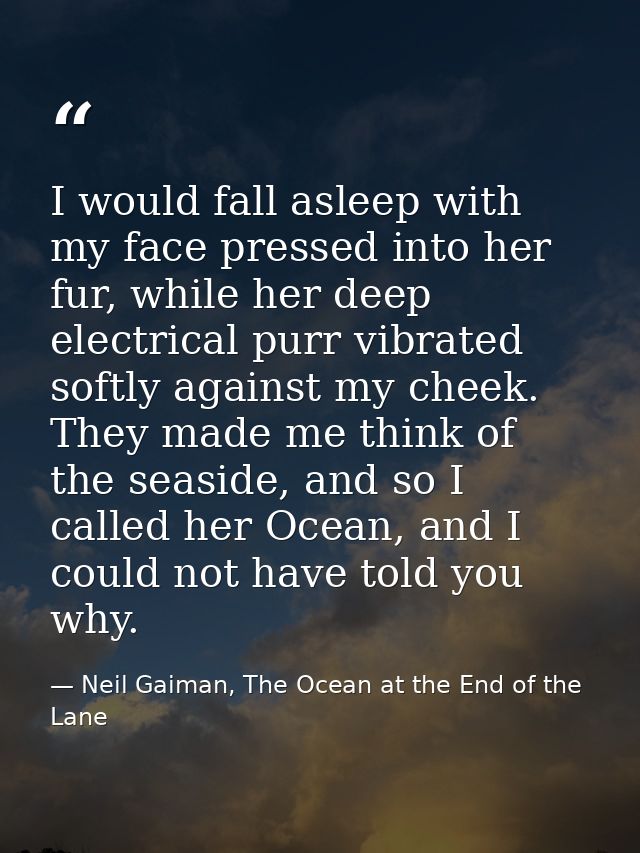 I would fall asleep with my face pressed into her fur, while her deep electrical purr vibrated softly against my cheek.  — Neil Gaiman, The Ocean at the End of the Lane